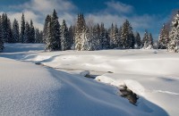 /album/foto-sumava/medium-1361709881-927-jpg/