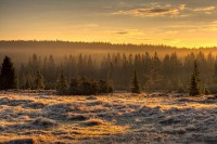 /album/foto-sumava/medium-1361636981-927-jpg/