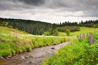 /album/foto-sumava/medium-1361612475-927-jpg/