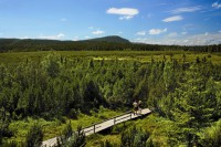 /album/foto-sumava/a99b-jpg/