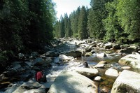 /album/foto-sumava/xtom333b04-2-jpg/