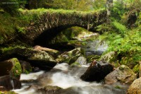 /album/foto-sumava/imgl5874-smv1200-jpg/