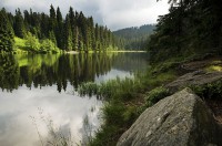 /album/foto-sumava/jezero-laka-021-jpg/